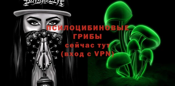 PSILOCYBIN Абдулино