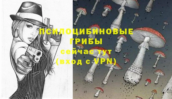 PSILOCYBIN Абдулино