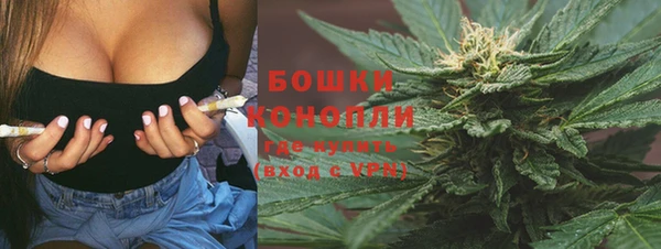 PSILOCYBIN Абдулино