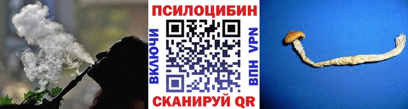 где найти наркотики  Советск  Псилоцибиновые грибы прущие грибы 